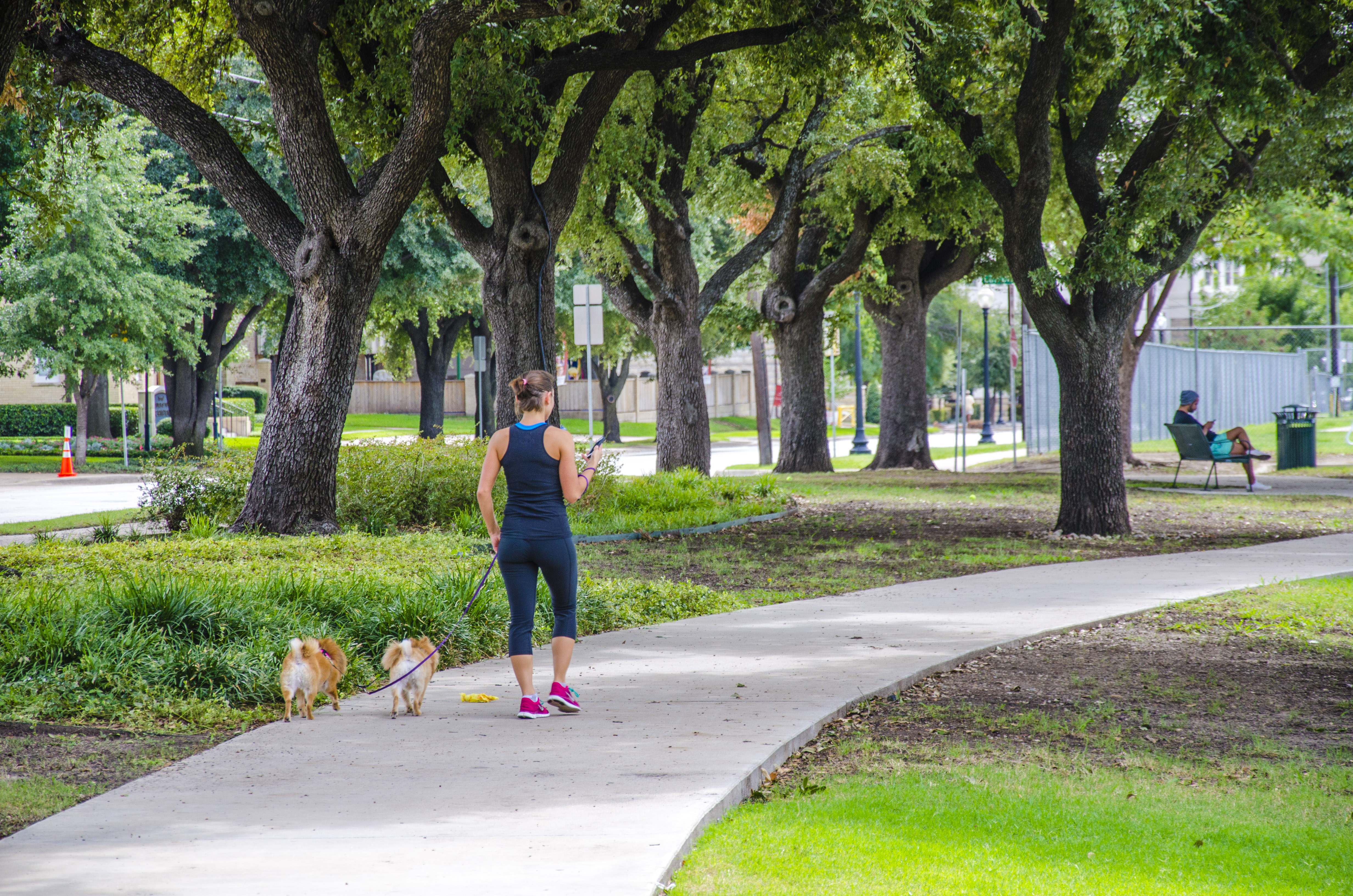 Cole Park Uptown Dallas