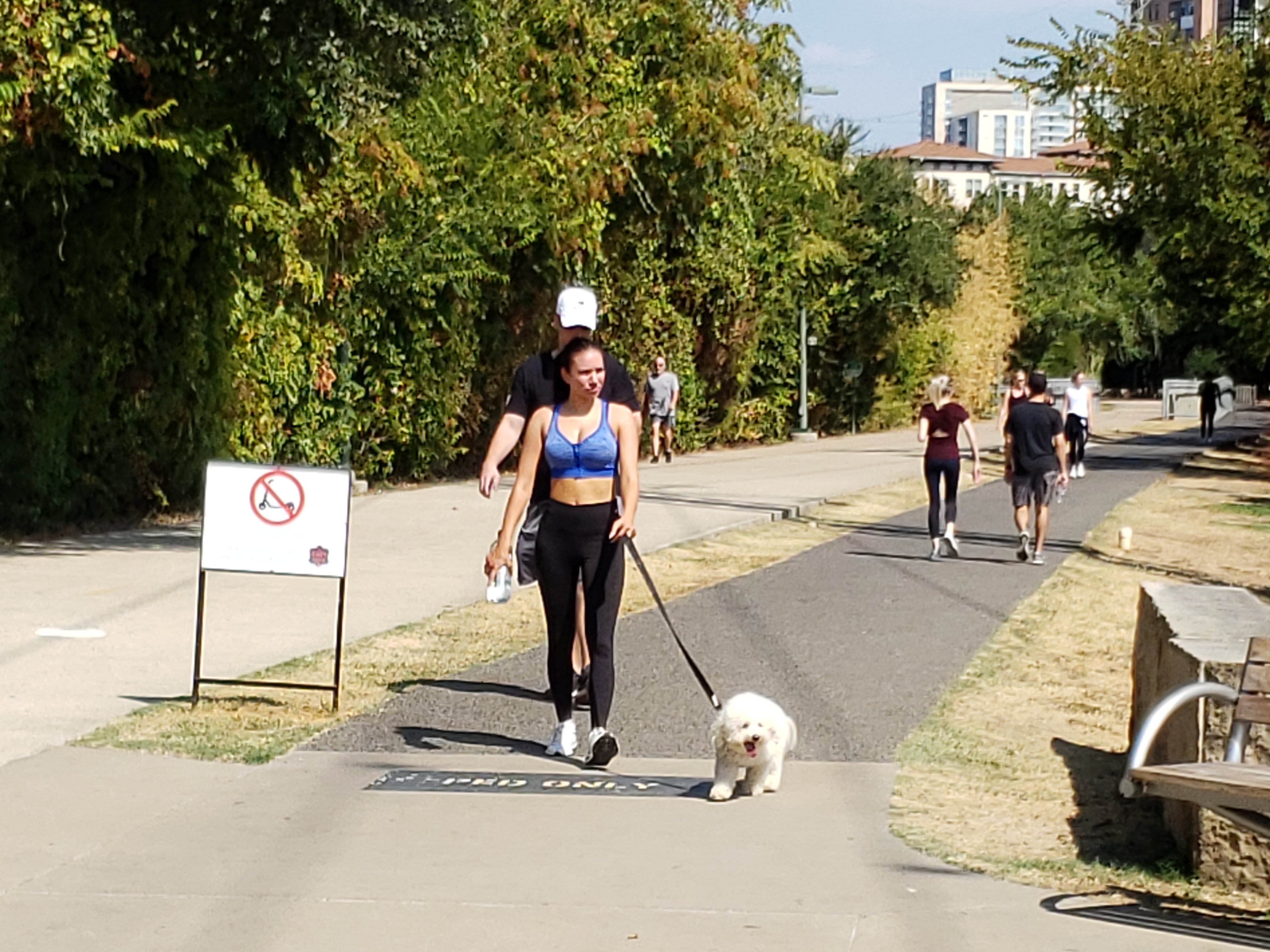 Uptown Dallas Dog Friendly Features